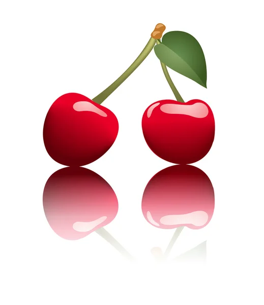 Two cherries. Vector EPS-10. — Wektor stockowy