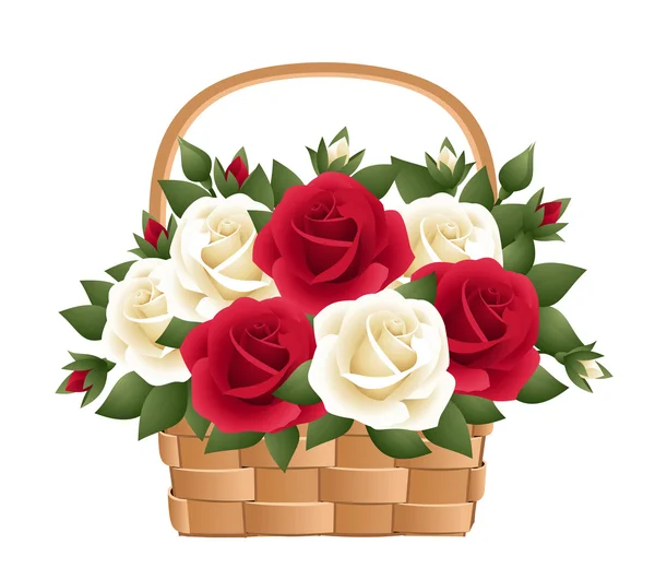 红色和白色的玫瑰在篮子里。矢量插画. — 图库矢量图片