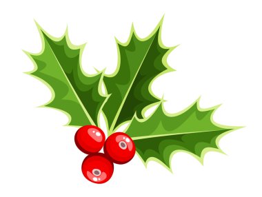 Noel holly. vektör çizim.