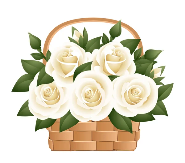 Άσπρα τριαντάφυλλα στο καλάθι. εικονογράφηση φορέας. — Διανυσματικό Αρχείο