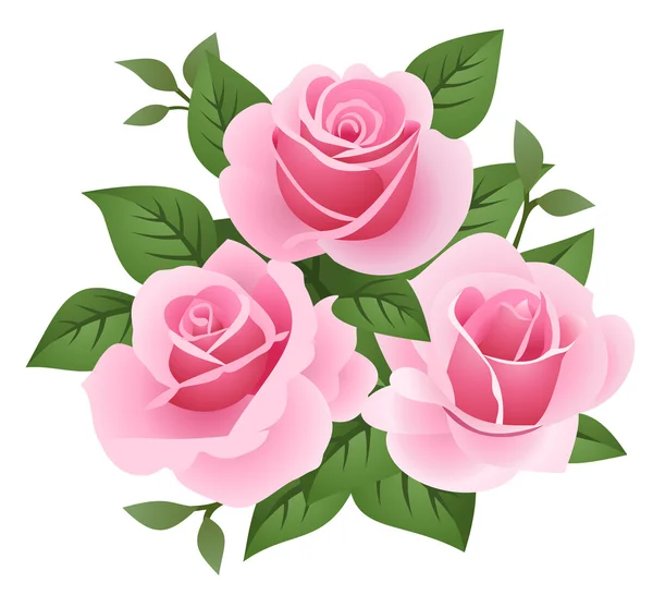 Illustration vectorielle de trois roses roses. — Image vectorielle