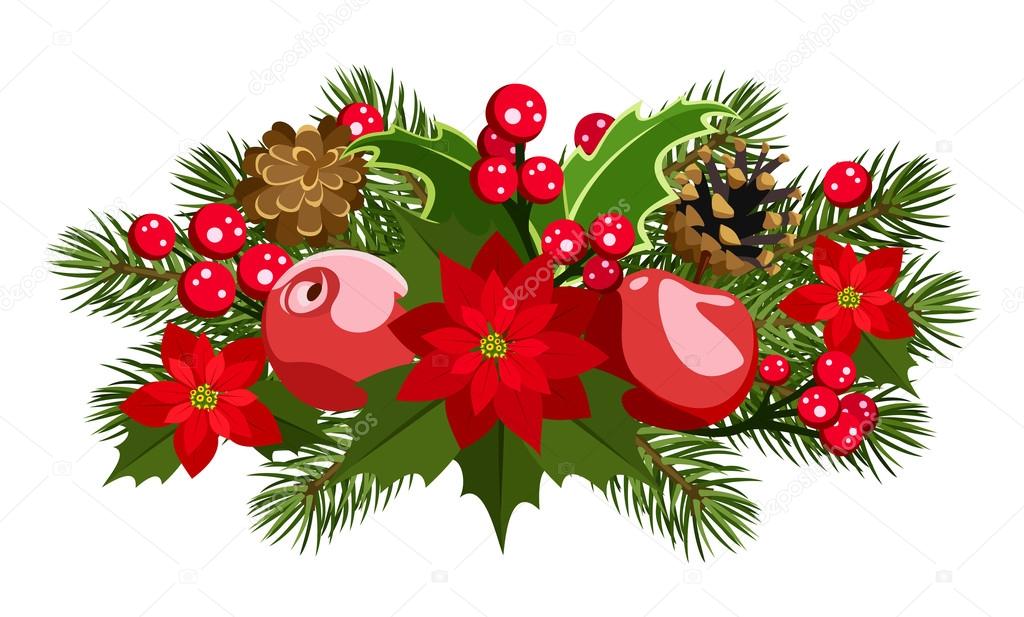 Christmas decoration with holly, fir-tree, cones, poinsettia and apples. Vector illustration.