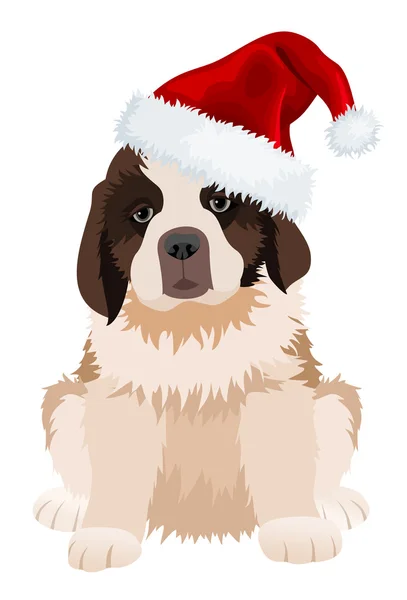 Cachorro de São Bernardo de chapéu de Natal. Ilustração vetorial . — Vetor de Stock