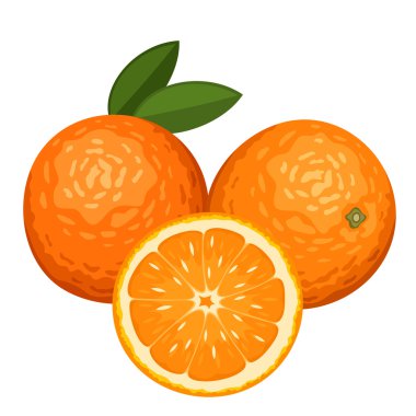 Üç portakal üzerinde beyaz izole. vektör çizim.