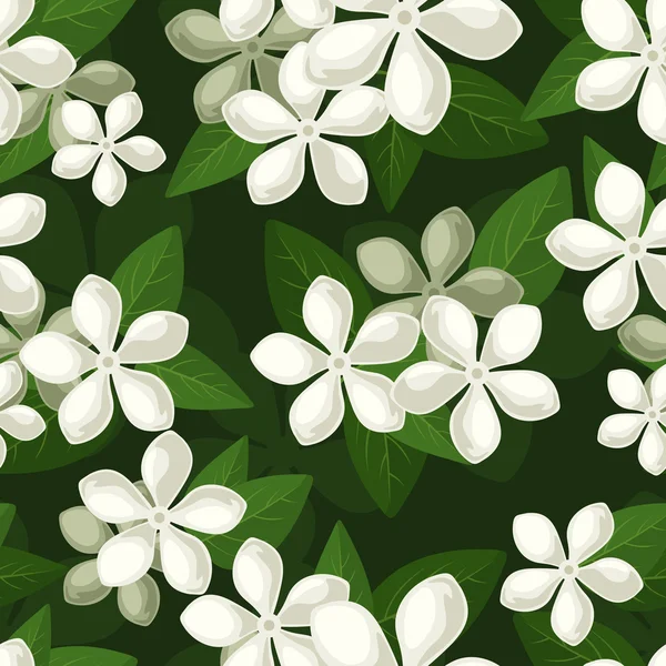 Naadloze achtergrond met witte bloemen. vectorillustratie. — Stockvector