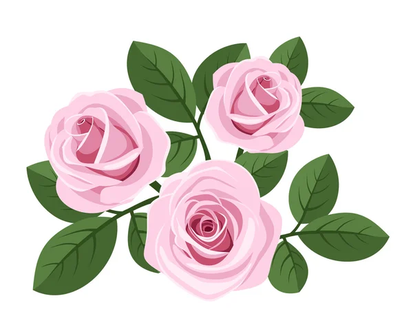 Trois roses roses avec des feuilles sur blanc. Illustration vectorielle . — Image vectorielle