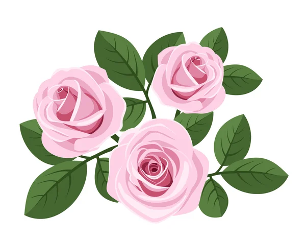 17,219 Pink roses Vector Images | Depositphotos