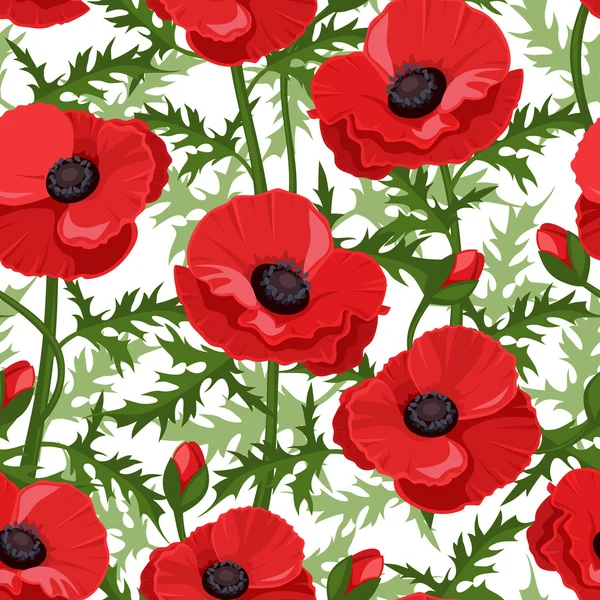 Seamless background with red poppies. Vector illustration. — Stock Vector