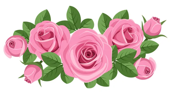 Rosas cor de rosa com folhas em branco. Ilustração vetorial . — Vetor de Stock