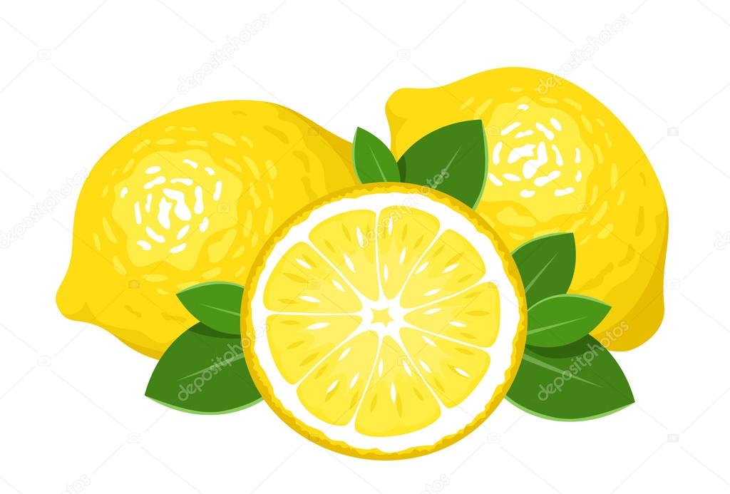 Three lemons isolated on white. Vector illustration.