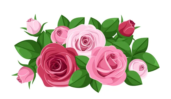 Rode en roze rozen, rosebuds en bladeren. vectorillustratie. — Stockvector