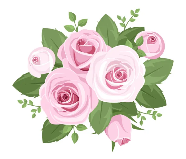 Rosas cor-de-rosa, botões de rosa e folhas. Ilustração vetorial . — Vetor de Stock