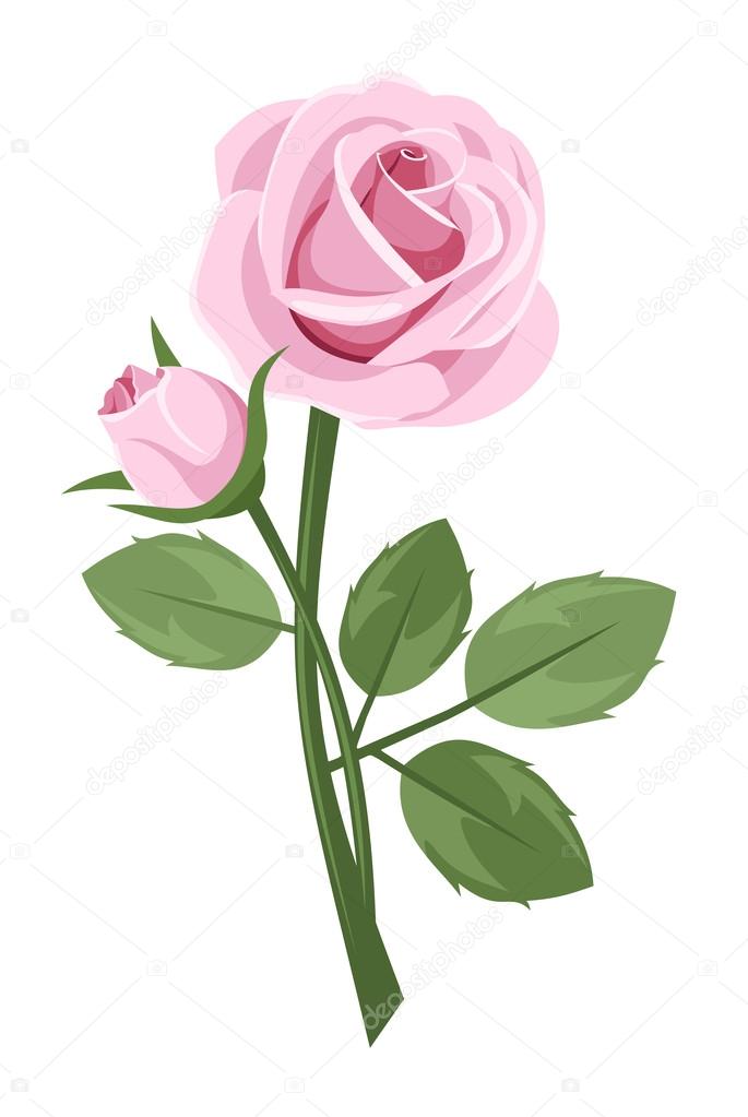 Pink rose with stem isolated on white. Vector illustration.