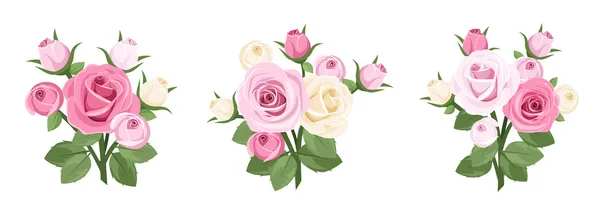 Conjunto de ramas de rosas. Ilustración vectorial . — Archivo Imágenes Vectoriales