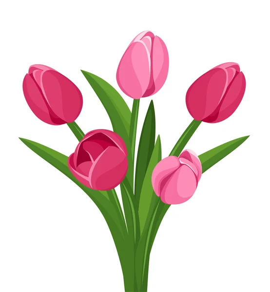 Bouquet of pink tulips. Vector illustration. — Stock Vector