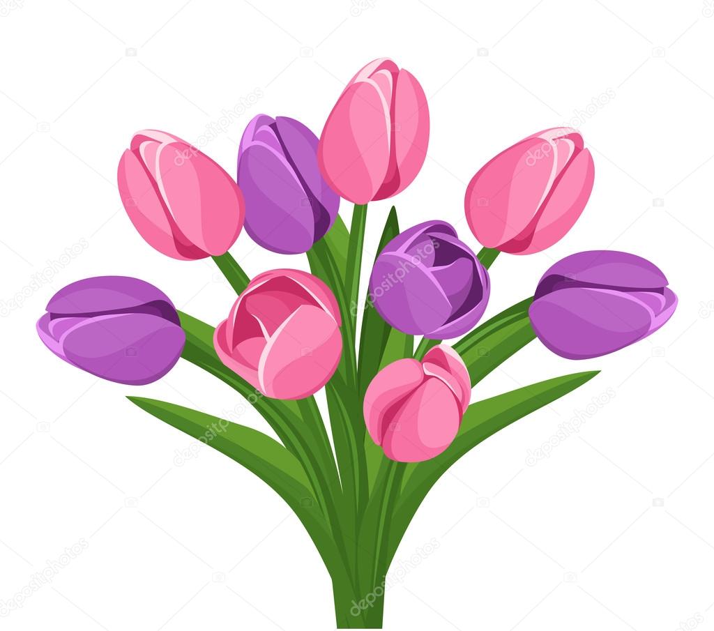 Bouquet of pink and purple tulips. Vector illustration.