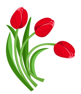 üç kırmızı lale. vektör çizim.