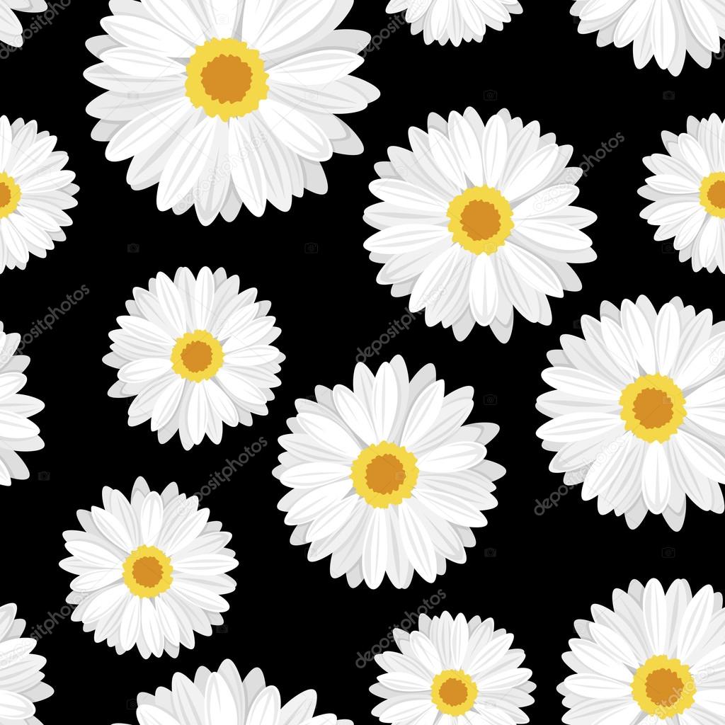 Seamless background with daisy flowers on black. Vector illustration.