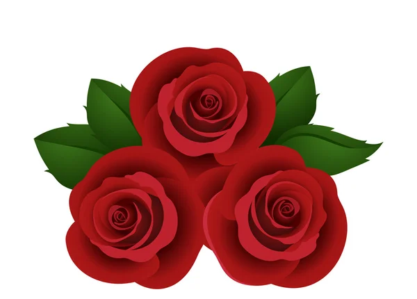 Tres rosas rojas. Ilustración vectorial . — Archivo Imágenes Vectoriales
