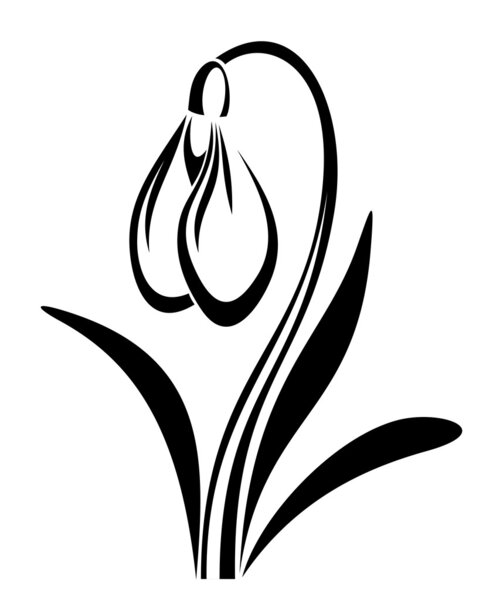 Черный силуэт подснежника. Векторная иллюстрация
.