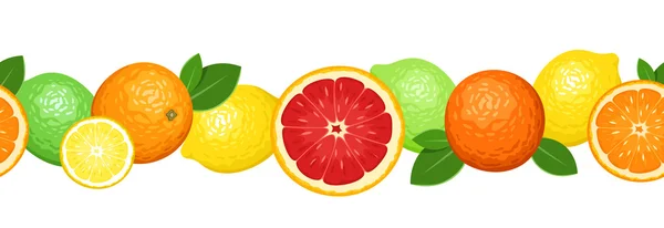 柑橘系の果物と水平方向のシームレスな背景。ベクトル イラスト. — ストックベクタ