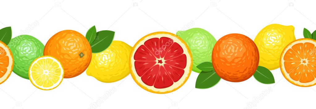 Horizontal seamless background with citrus fruits. Vector illustration.