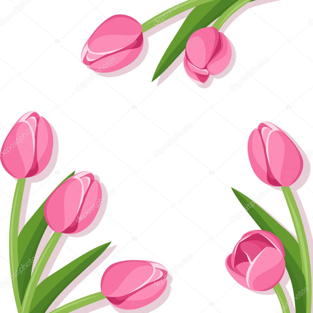 Background with pink tulips. Vector illustration.