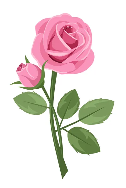 Rosa rosa con tallo aislado en blanco. Ilustración vectorial . — Archivo Imágenes Vectoriales