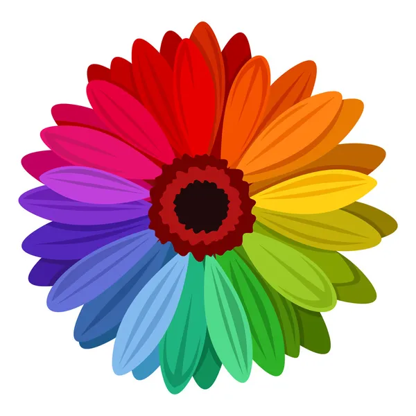Gerbera flowers with multicolored petals. Vector illustration. — Stock Illustration Gerbera flowers with multicolored petals. Vector illustration. Stock Vector