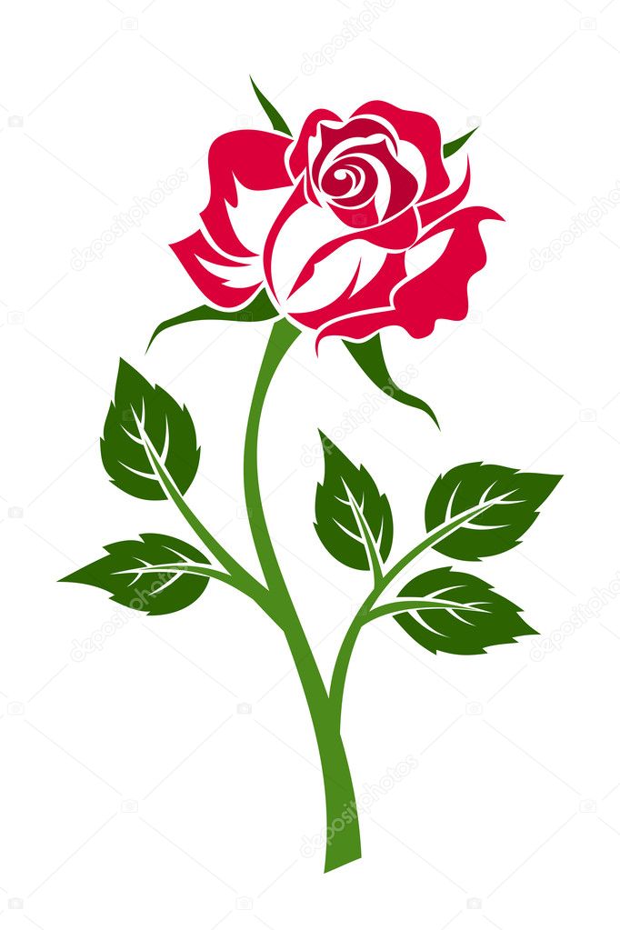 Red rose with stem. Vector illustration.