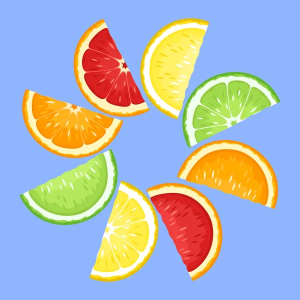 Citrus fruits slices on blue. Vector illustration. — Stock Vector