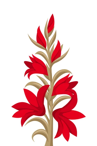 Fiori di gladiolo rosso. Illustrazione vettoriale . — Vettoriale Stock