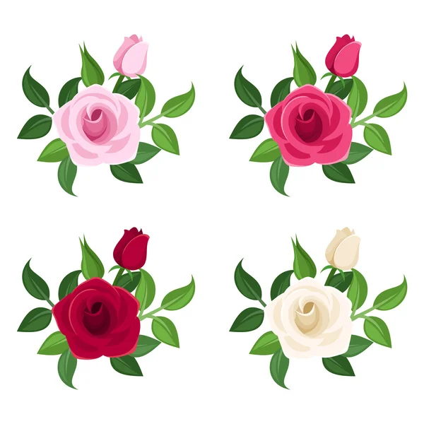 Set of four colored roses. Vector illustration. — Stock Vector