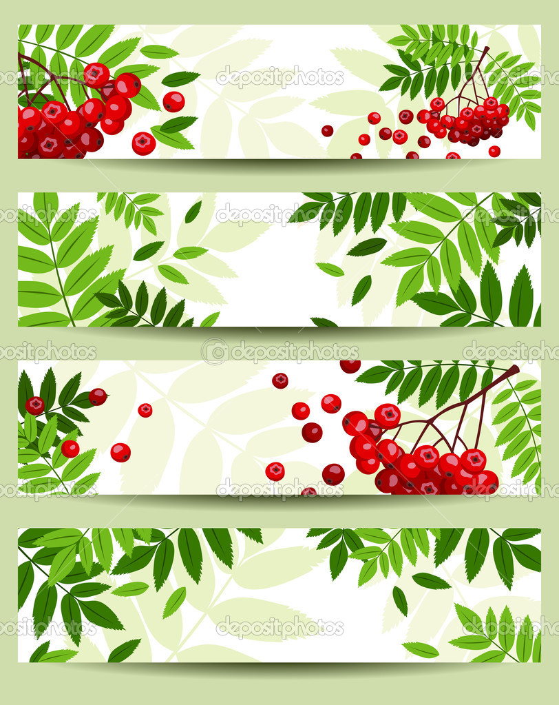 Four vector banners with rowan branches (468x120px).