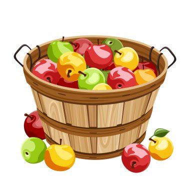 Wooden basket with colorful apples. Vector illustration. clipart