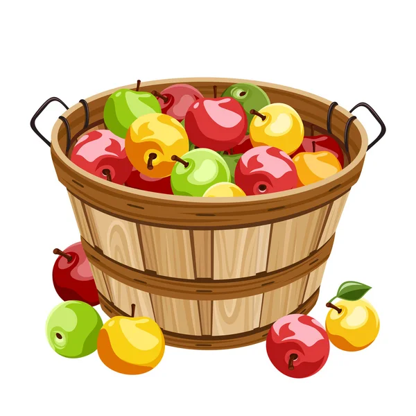 Cesta de madeira com maçãs coloridas. Ilustração vetorial . — Vetor de Stock