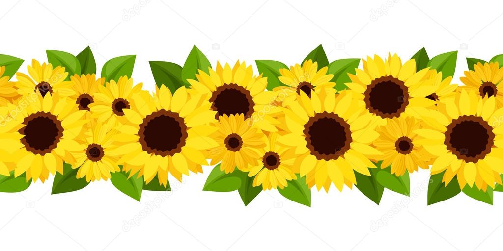 Horizontal seamless background with sunflowers and calendula. Vector illustration.