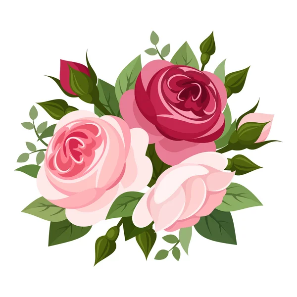 Czerwone i różowe róże. Ilustracja wektorowa. — Wektor stockowy