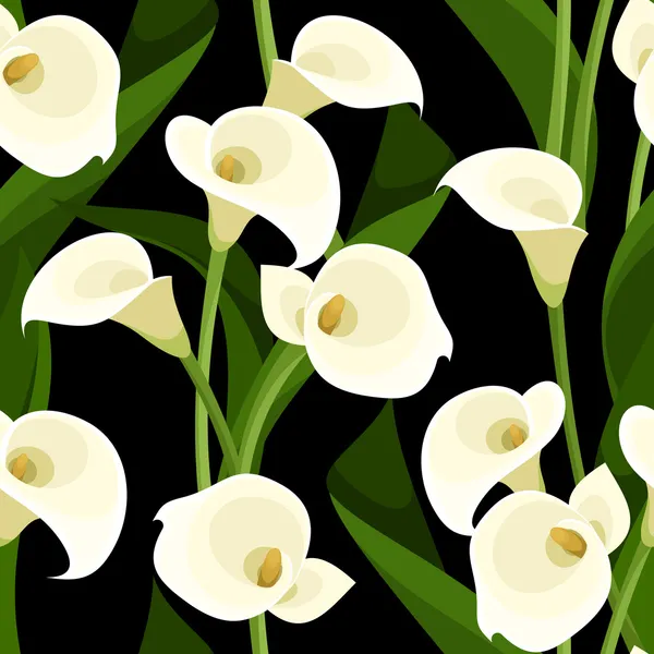 Seamless pattern with white calla lilies on black. Vector illustration. — Διανυσματικό Αρχείο