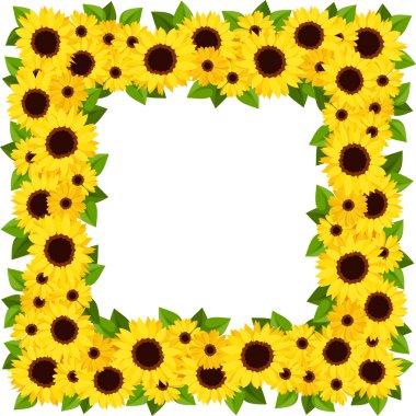 Ayçiçeği çerçeve. vektör çizim.