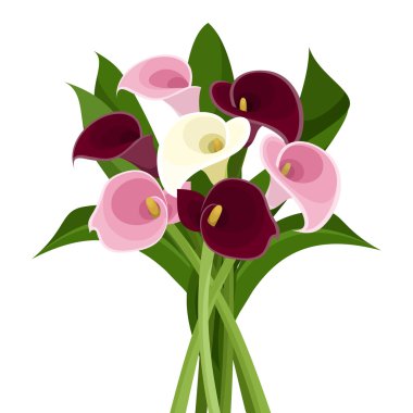 Bouquet of colored calla lilies. Vector illustration. clipart