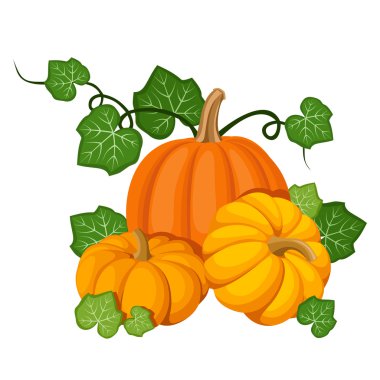Three orange pumpkins. Vector illustration. clipart
