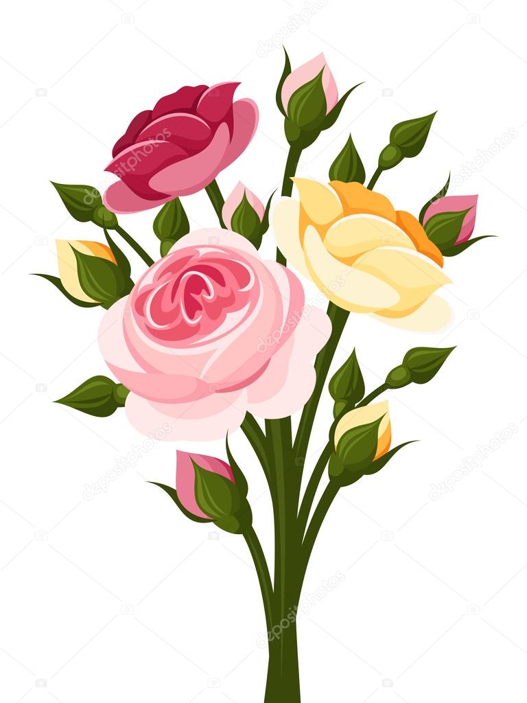 Colorful roses branch. Vector illustration.