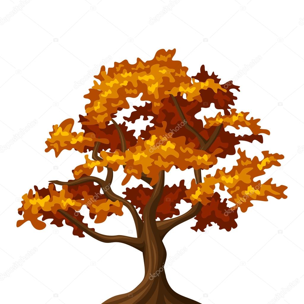 Autumn oak tree. Vector illustration.