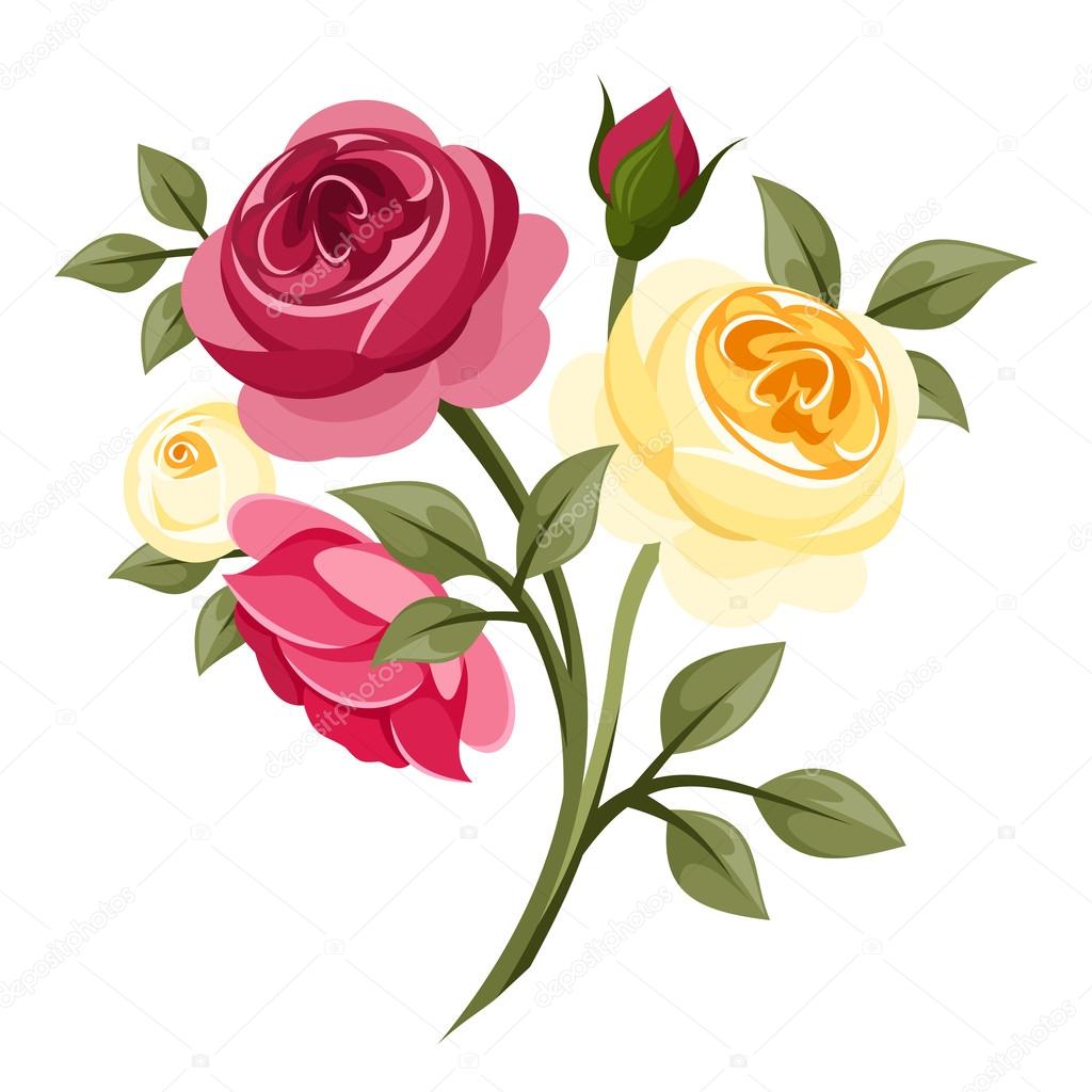 Colorful roses. Vector illustration.