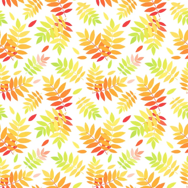 Bezešvé pattern s podzimní barevné rowan listy. vektorové ilustrace. — Stockový vektor