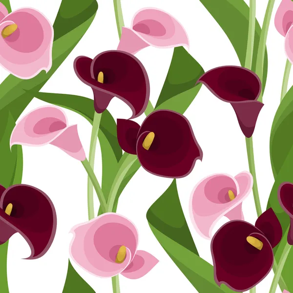 Wzór z różowy i fioletowy calla Lilie na biały. Ilustracja wektorowa. — Wektor stockowy