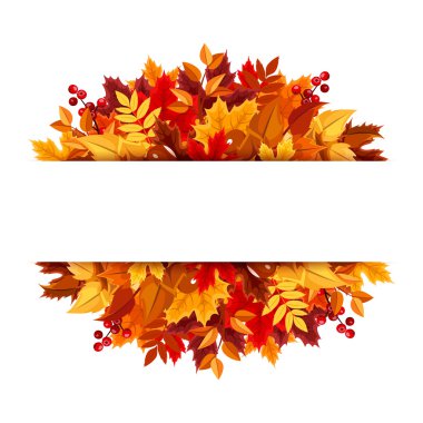 Autumn leaves background. Vector illustration. clipart
