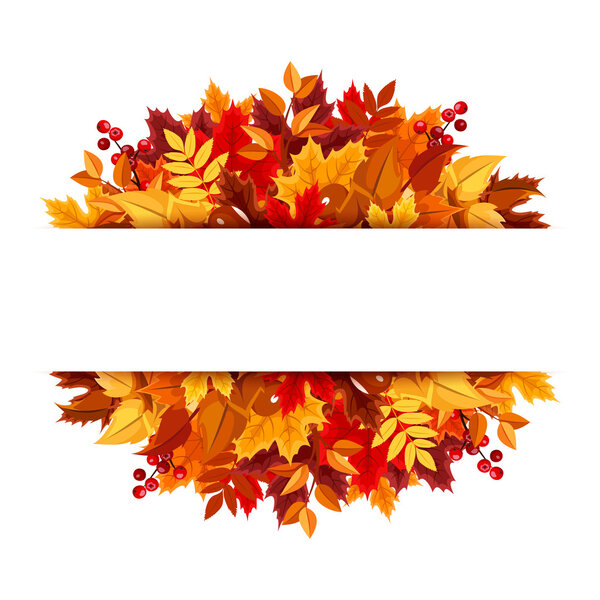 Autumn leaves background. Vector illustration.