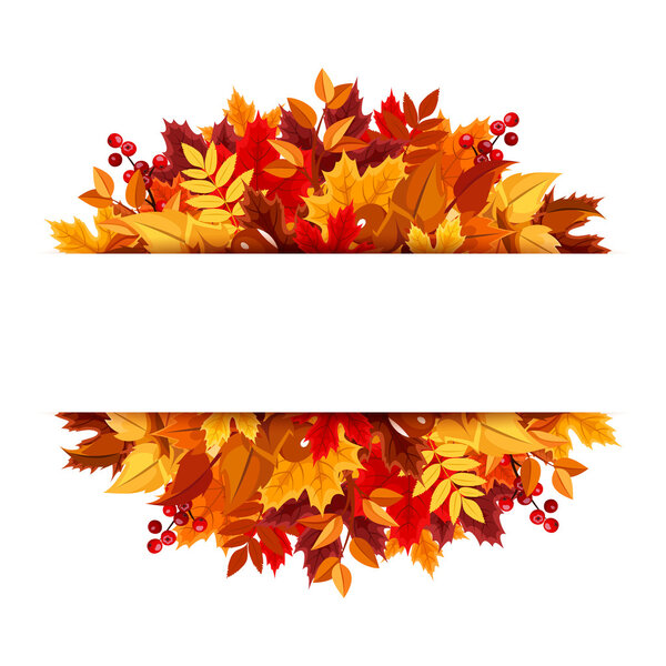 Autumn leaves background. Vector illustration.